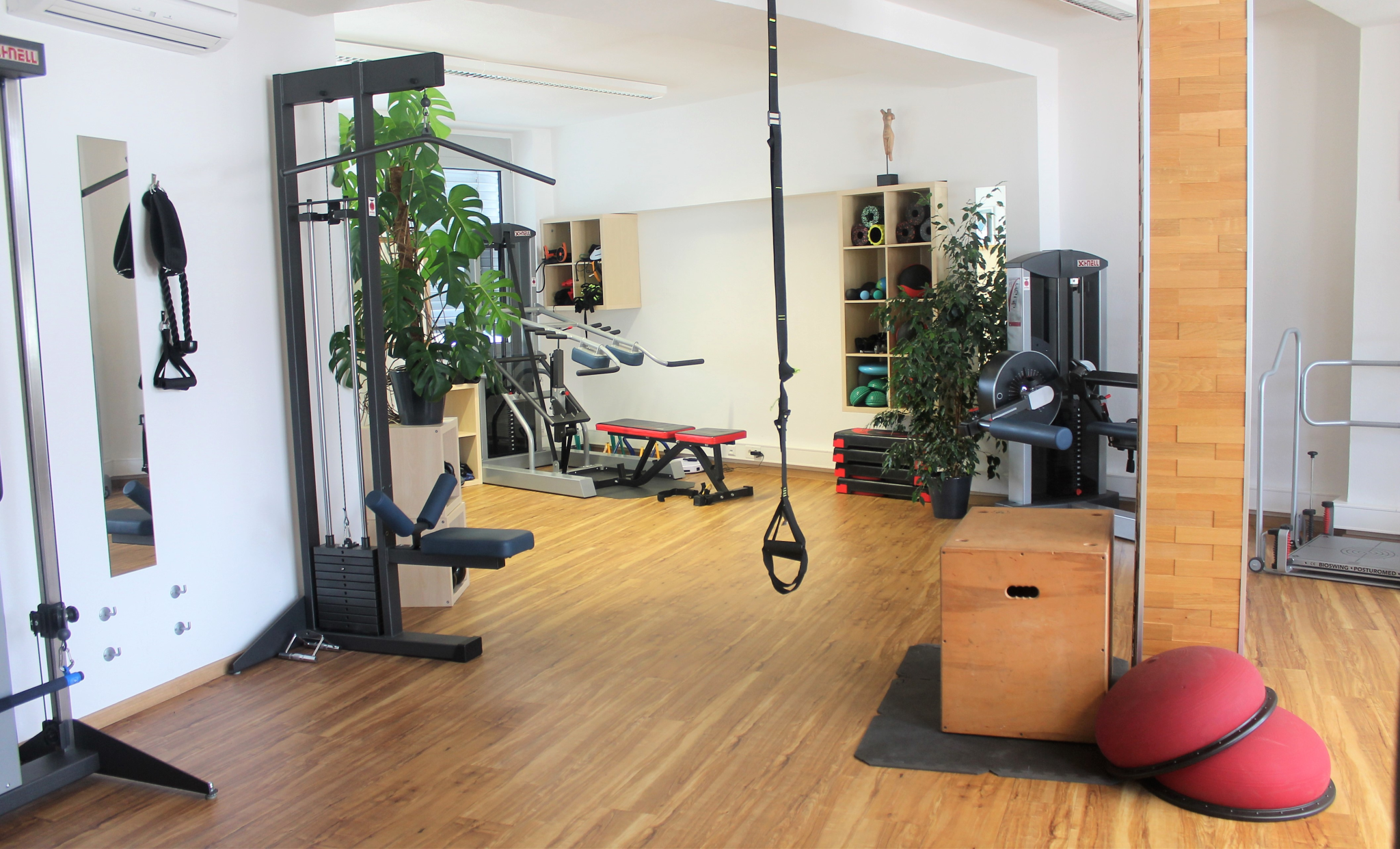 Trainingsbereich